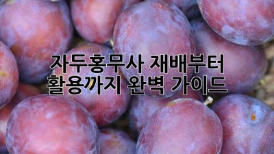 자두홍무사 재배부터 활용까지 완벽 가이드