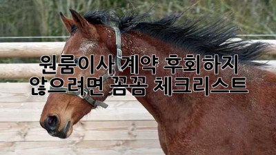 원룸이사 계약, 후회하지 않으려면? 꼼꼼 체크리스트! 💯