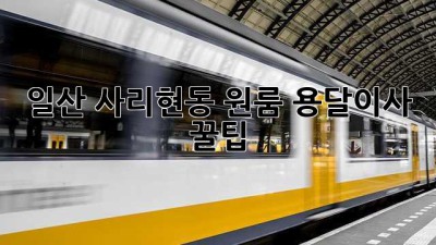 일산 사리현동 원룸 용달이사 꿀팁!